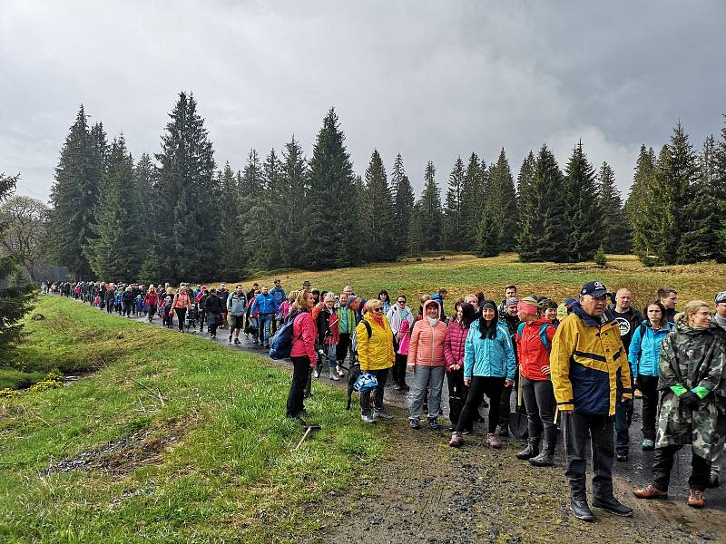 Sázení stromků s WeLoveŠumava.