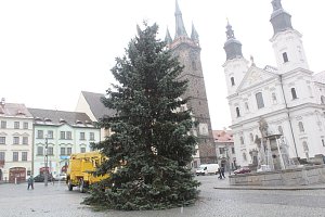 Příjezd vánočního stromu na náměstí v Klatovech.