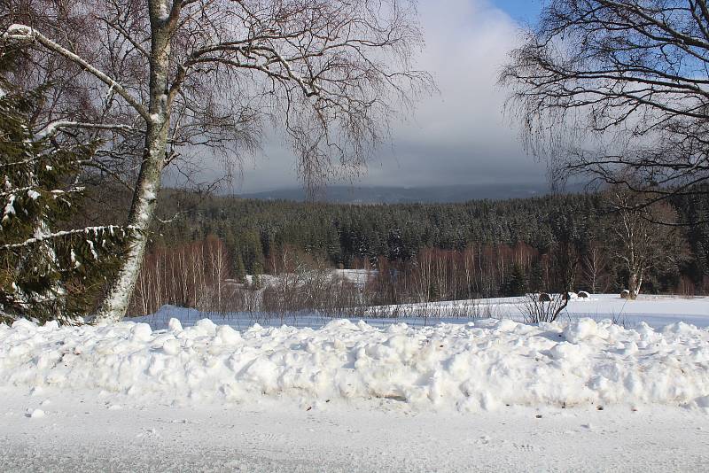 Pravá zima na Šumavě - Hojsova Stráž, Pancíř, Železná Ruda, Prášily, Srní, Modrava.