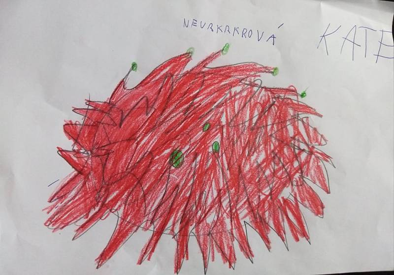 Kate Nevrklová, 6 let, Klatovy.