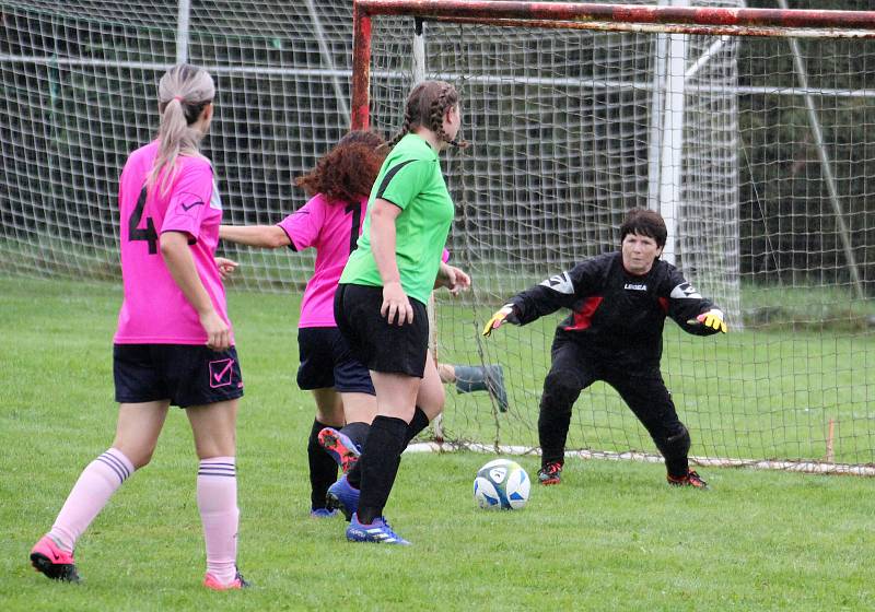 7. kolo letní DAFL: Sokolky Neznašovy - Kobra Stars Bolešiny (na snímku fotbalistky v růžových dresech) 0:4.