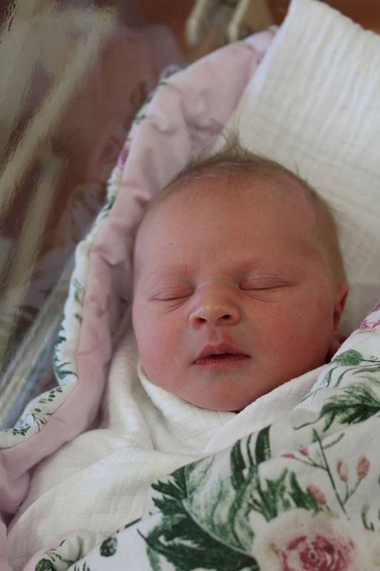 Amélie Fořt z obce Bolkov se narodila v klatovské porodnici 16. června ve 2:25 hodin (3470 g, 50 cm). Rodiče Marta a Jan věděli, že téměř tříleté Emmě přivezou domů sestřičku.