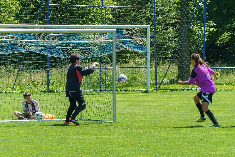 5. kolo DAFL, léto 2022: PS Křeč Mochtín (fialové dresy) - Sokolky Neznašovy 2:3.