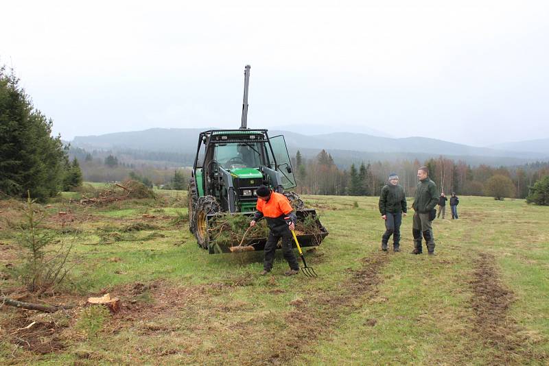 Kácení na loukách v Národním parku Šumava - Skelná