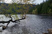 Šumava a Černé jezero.