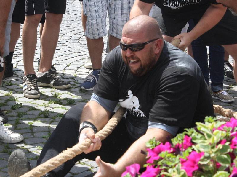 Strongman v Sušici 2014