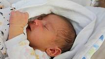 Daria Jarema z Hluboké (3230 g, 49 cm) se narodila v klatovské porodnici 21. srpna v 0:10 hodin. Maminka Jana a tatínek Volodymyr dopředu věděli, že se jim narodí holčička.