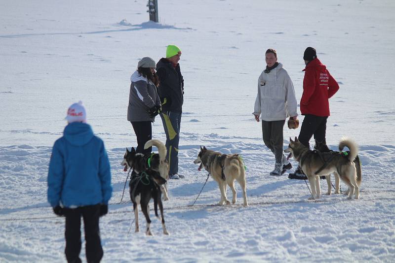 Šumava v sobotu 9. ledna.