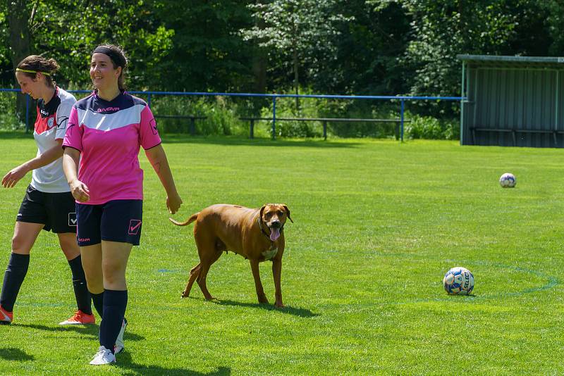 5. kolo DAFL, léto 2022: Kobra Stars Bolešiny - Devils Klášter (bílé dresy) 5:3.