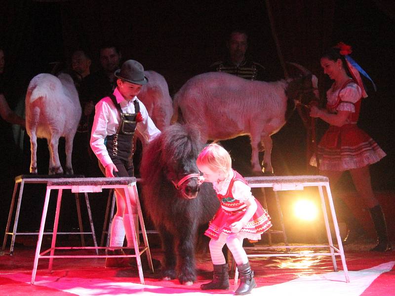 Od 23. do 26. března hostoval v Klatovech cirkus Arlet.