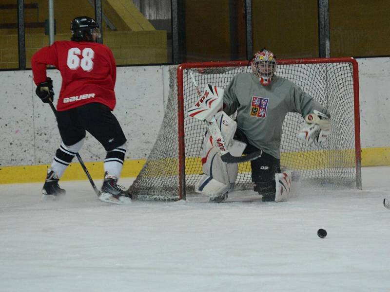 Ledový Isoh Cup 2014 v Klatovech.