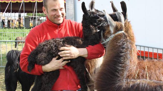 Národní cirkus originál Berousek přijel do Klatov