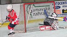 Krajská liga přípravek: HC Klatovy (v červeném) - TJ DDM Rokycany 23:17.