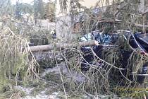 Na Špičáku spadl strom na auto a dráty elektrického vedení.