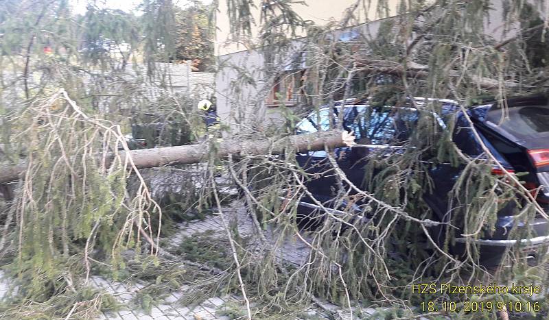 Na Špičáku spadl strom na auto a dráty elektrického vedení.