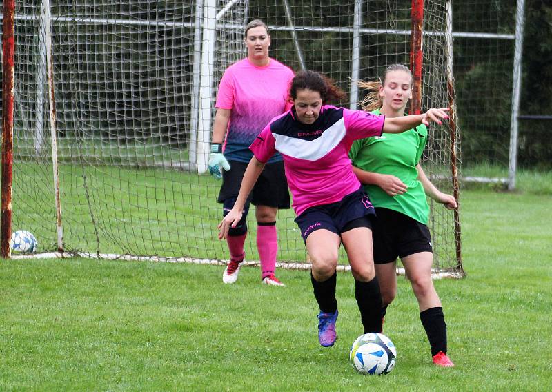 7. kolo letní DAFL: Sokolky Neznašovy - Kobra Stars Bolešiny (na snímku fotbalistky v růžových dresech) 0:4.