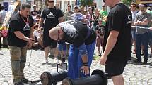 Strongman v Sušici 2014