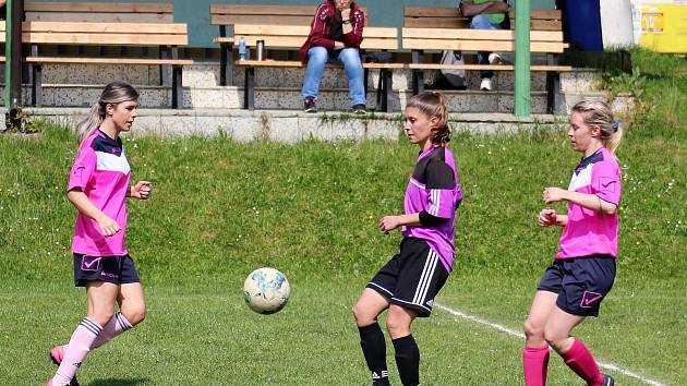 Letní DAFL, 3. kolo: Kobra Stars - Devils v Křeči 4:0.