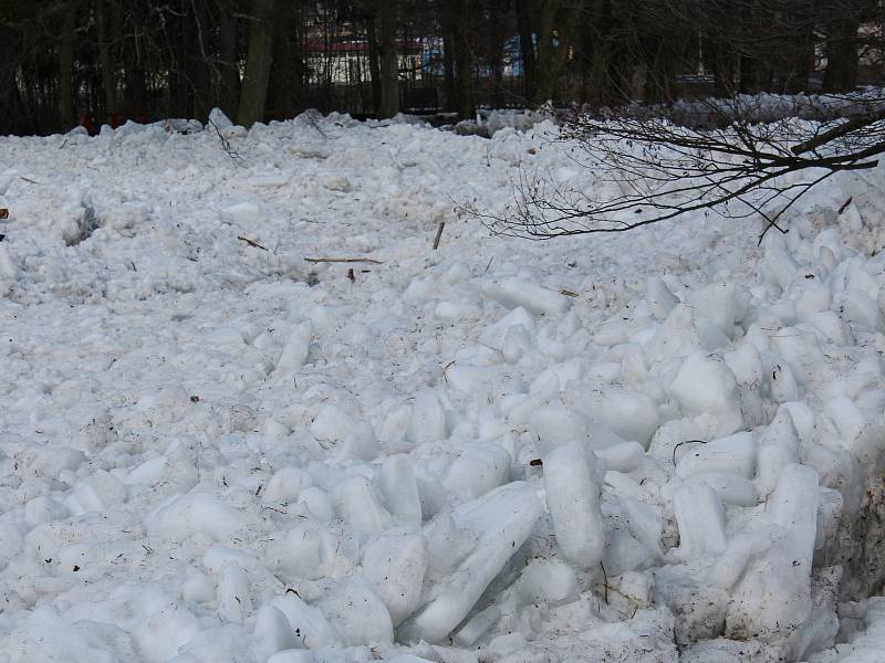 Kry a sníh v okolí řeky Otavy v Sušici.