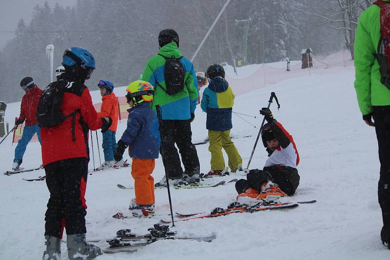 Lyžařské areály na Železnorudsku.