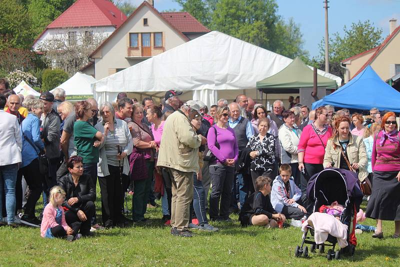 Oslavy 700 let v Petrovicích u Sušice.