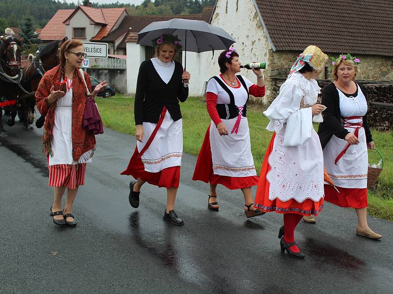 Dožínky ve Velešicích a Pačejově na Klatovsku.