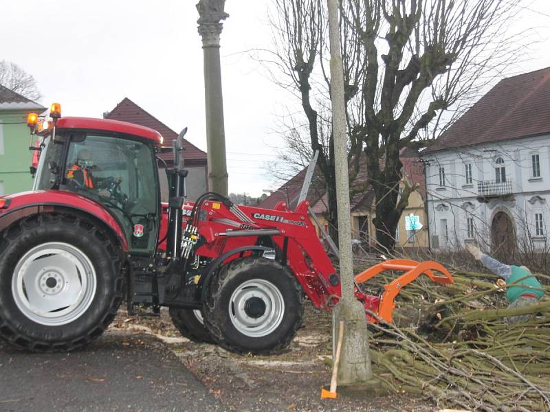 Město Plánice nechalo pokácet třicet stromů na náměstí, prý jsou nebezpečné