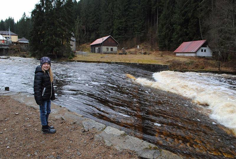 Vydra na Čeňkově pile.