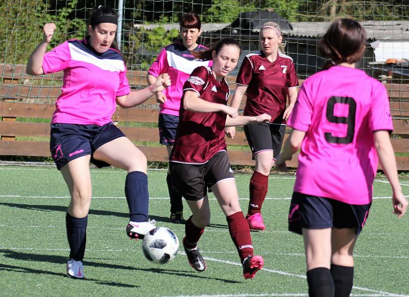 3. kolo letní DAFL: Kobra Stars Bolešiny - Andělky Chanovice (rudé dresy) 1:2.