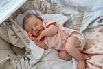 Dne 23. června 2022 ve 12:42 hodin se v Domažlické nemocnici mamince Nikole a tatínkovi Martinovi z Domažlic narodila holčička Rozárie Hašková. Při narození vážila 3620 g a měřila 49 cm.