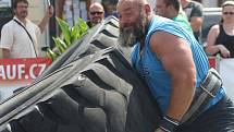 Strongman v Sušici 2015.