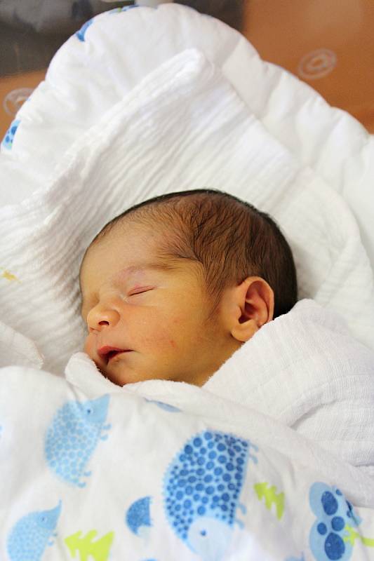Jakub Brzoň ze Střížovic se narodil v klatovské porodnici 21. července ve 20:45 hodin (2750 g, 48 cm). Rodiče Michaela a Petr věděli dopředu, že jejich prvorozeným miminkem bude chlapeček.