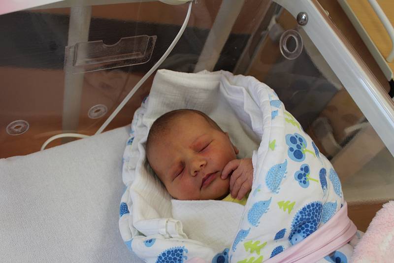Stela Zdichyncová z Nýrska se narodila v klatovské porodnici 29. ledna v 11.35 hodin (3300 g, 49 cm). Rodiče Romana a Zdeněk dopředu věděli, že Zorce (2,5) přivezou domů malou sestřičku.