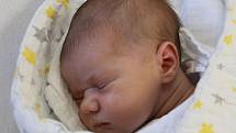Viktorie Mareš ze Sušice přišla na svět v klatovské porodnici 16. května v 1:07 hodin. Maminka Nikola a tatínek Milan věděli, že jejich prvorozeným miminkem (3370 g, 52 cm) bude holčička.