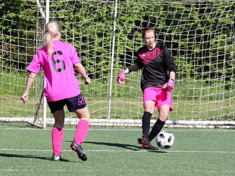 3. kolo letní DAFL: Kobra Stars Bolešiny - Andělky Chanovice (rudé dresy) 1:2.