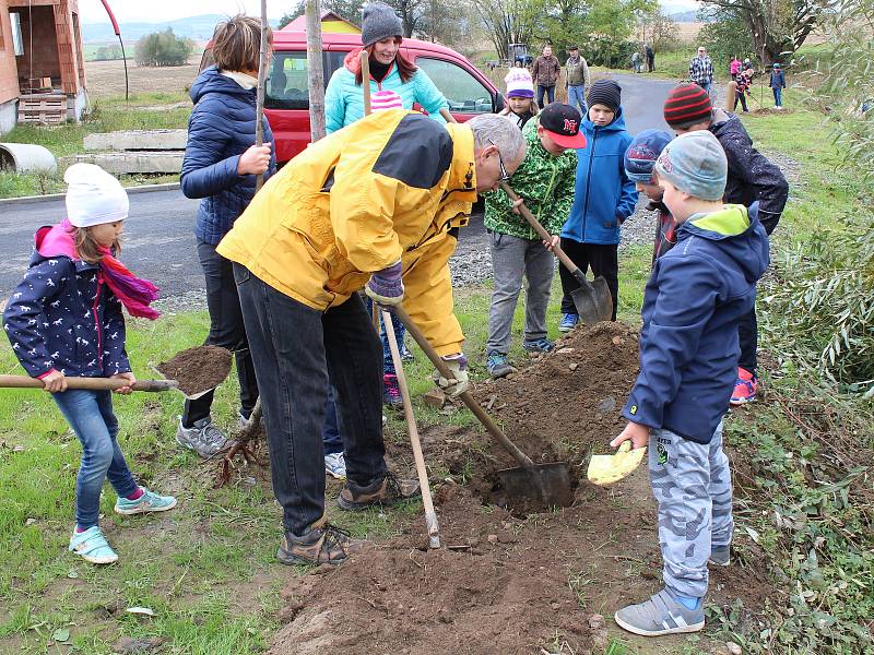 Stromkové slavnosti v Bolešinech