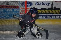 Hokejisté 2. a 3. tříd HC Klatovy a TJ Sušice udělali tečku za minihokejovou sezonou na klatovském ledě