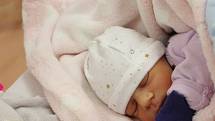 Josefína Němečková z Klenčí pod Čerchovem se narodila v klatovské porodnici 28. srpna v 18:37 hodin (2600 g, 48 cm). Pohlaví svého prvorozeného potomka si rodiče Tereza a Lukáš nechali jako překvapení až na porodní sál.