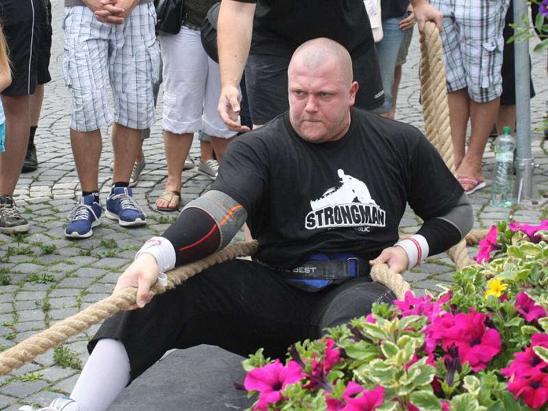 Strongman v Sušici 2014