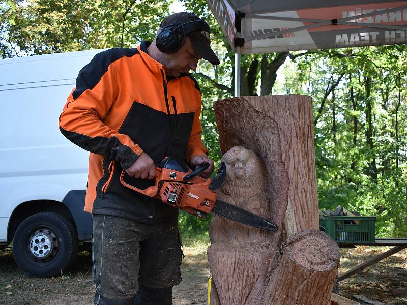 Setkání řezbářů motorovou pilou v Chudenicích pod Bolfánkem.