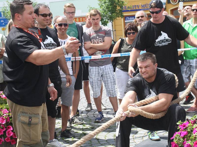 Strongman v Sušici 2014