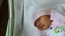 Terezka Šimová (2640 g) se narodila 1. září 2021 v 8:22 v plzeňské Mulačově nemocnici. Rodiče Beáta a Lukáš z Plzně věděli, že desetileté Adriance přivezou z porodnice holčičku.