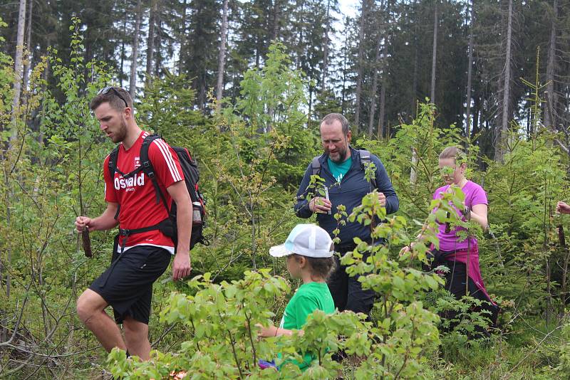 Sázení stromků na Šumavě s WeLoveŠumava 5. června 2021.