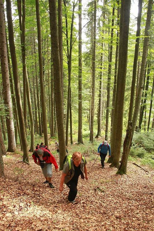 Šumava.