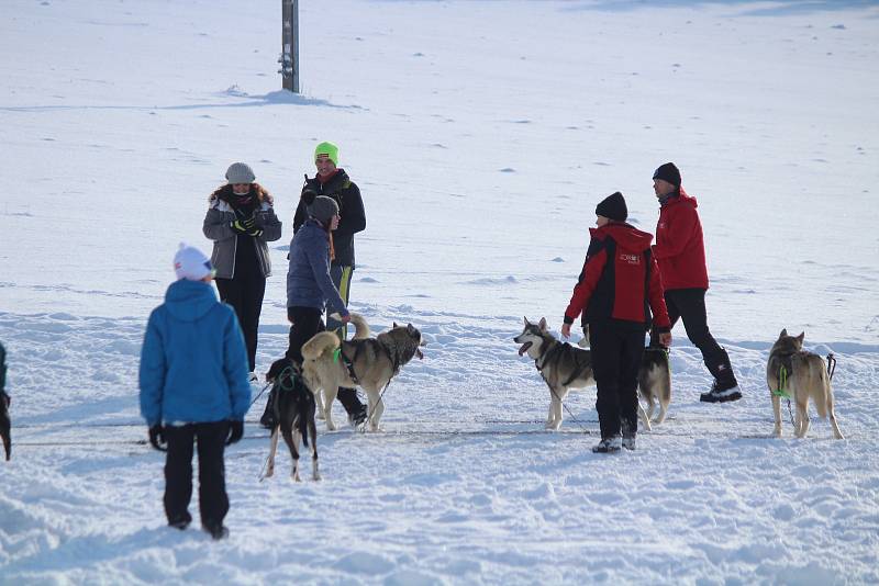 Šumava v sobotu 9. ledna.