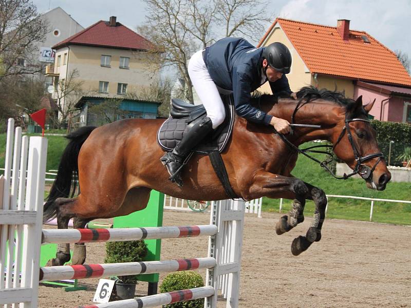 První jezdecké závody na klatovském kolbišti V Ráji v roce 2016 