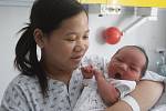 Tran Ho Tan ze Železné Rudy se narodil v klatovské porodnici 22. srpna v 18.43 hodin. Vážil 3860 g a měřil 49 cm. Na prvního syna se těšili rodiče Nguyen Thi Hoa a Tran Xuan Thanh.