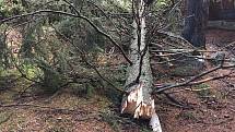 Během orkánu Herwart spadl strom i na hotel Modrava. Za poslední měsíc a půl už druhý