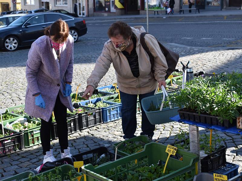 Farmářské trhy na klatovském náměstí lákaly, nakoupit si přišla řada zákazníků.