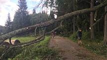 Polomy po páteční bouřce na území NP Šumava v okolí Stožce.